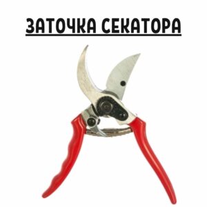 Профессиональная заточка секатора