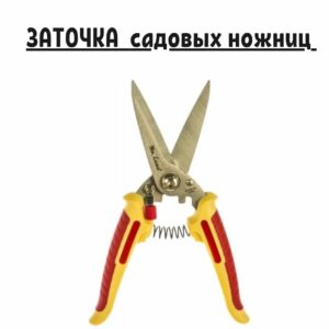 Профессиональная заточка садовых ножниц от